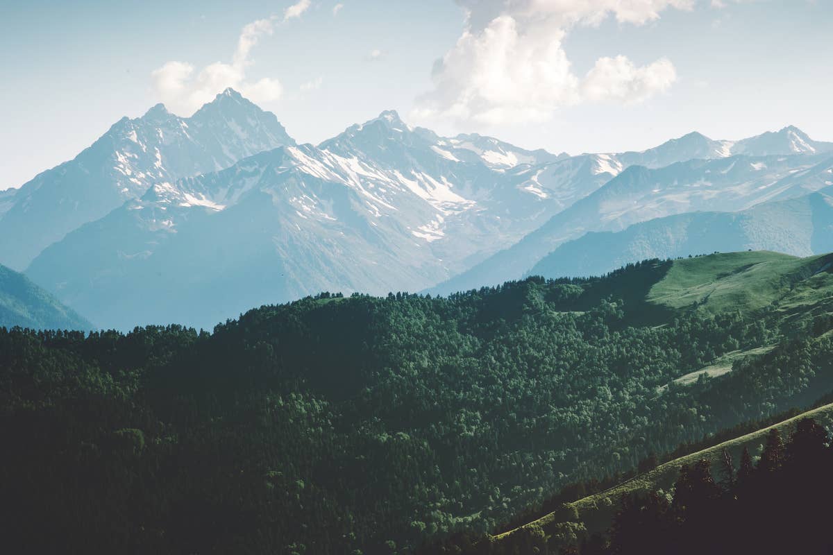 Palantir Climate Pledge