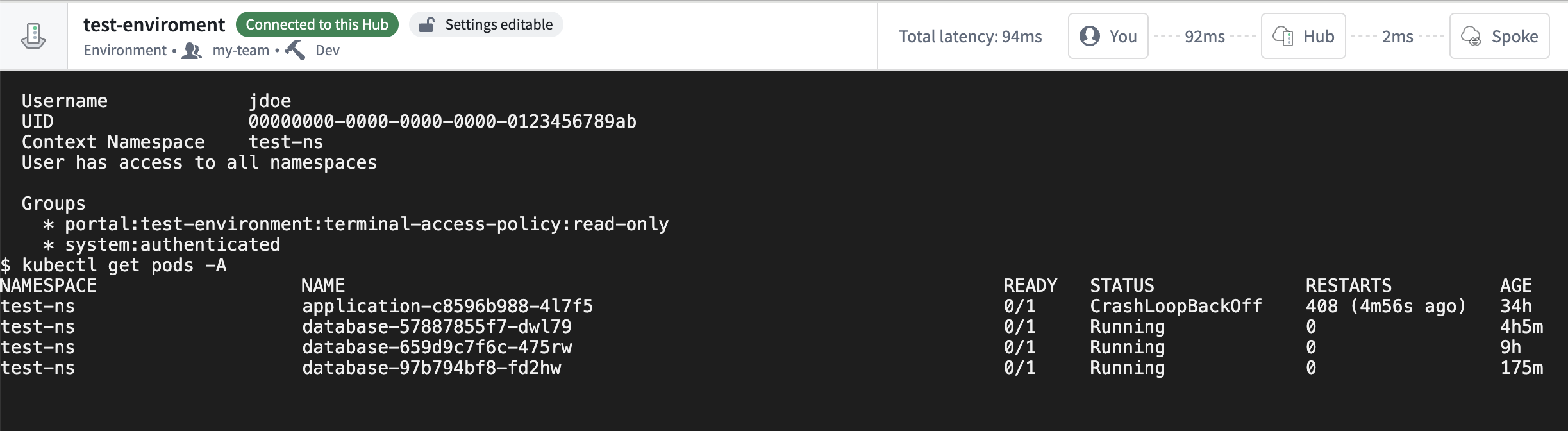 Example terminal session on an Apollo Environment.