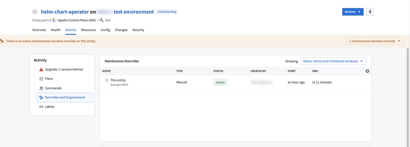 Entity maintenance window overrides