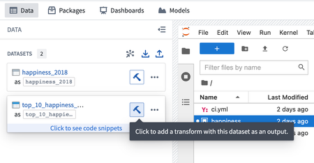 在Jupyter®代码工作区导入的数据集上创建变换按钮的截图。