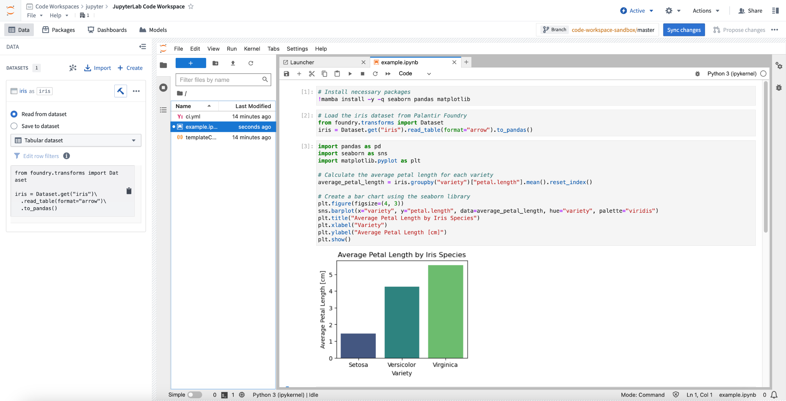 用于数据科学的 Jupyter® 代码工作空间。