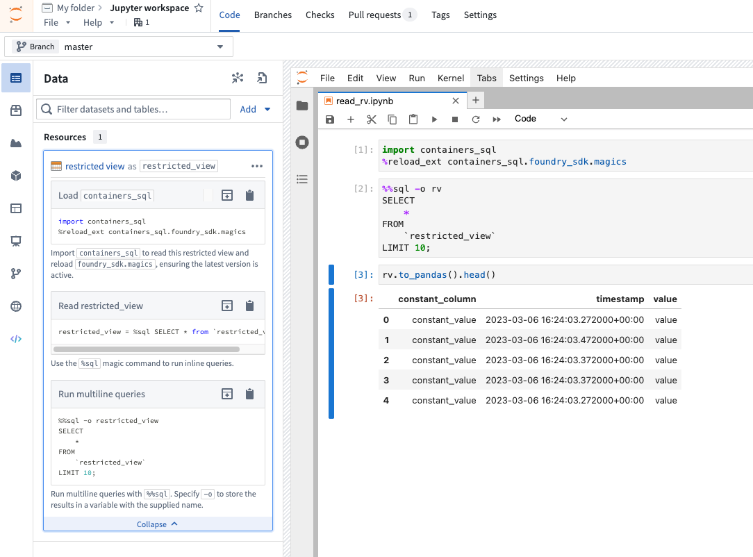 An overview of how to query a restricted view from a code workspace.