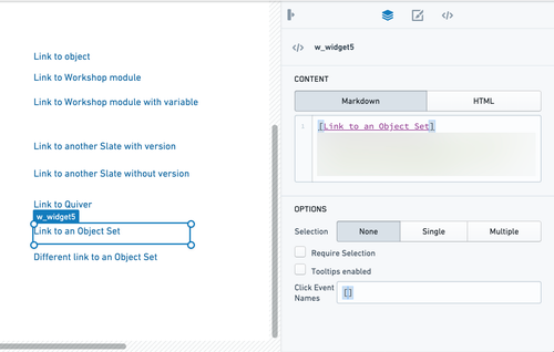 Navigation Object Explorer Slate input