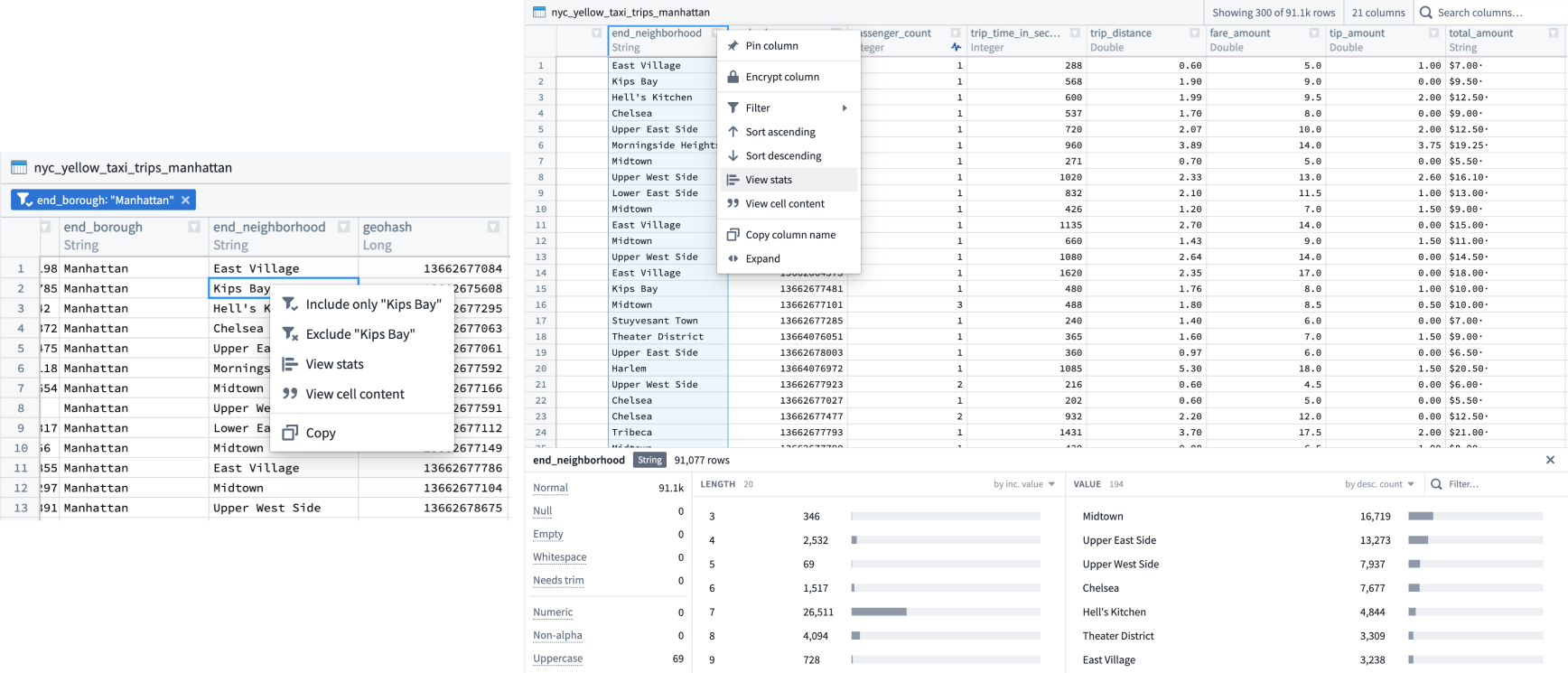 An example of available filter to use with the dataset preview table.