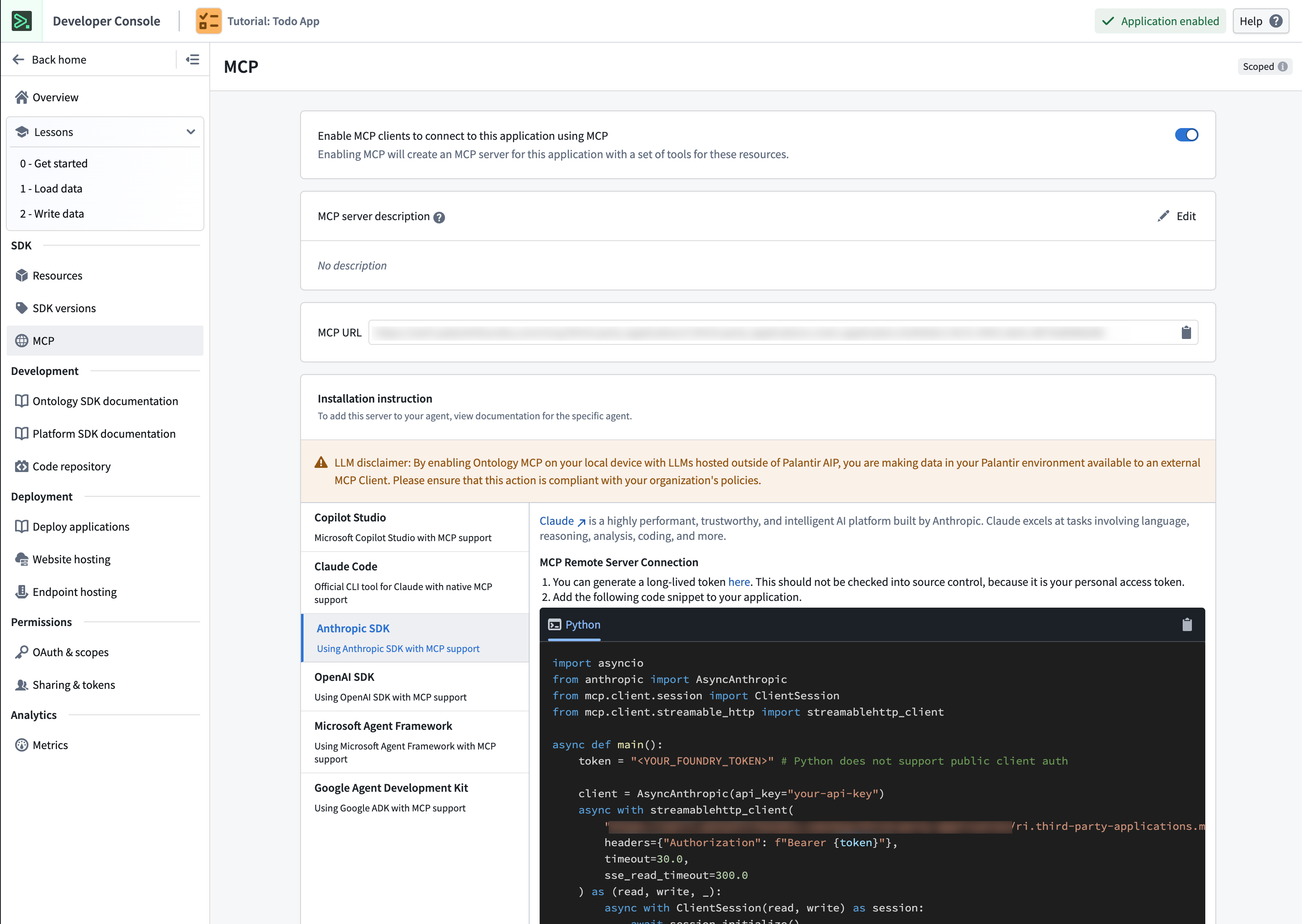 The Ontology MCP toggle in Developer Console application settings.