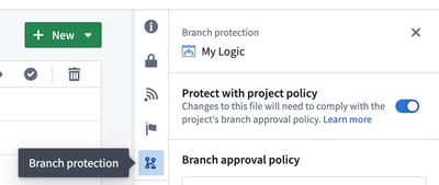 Branch protection tab showing the protect with policy option.
