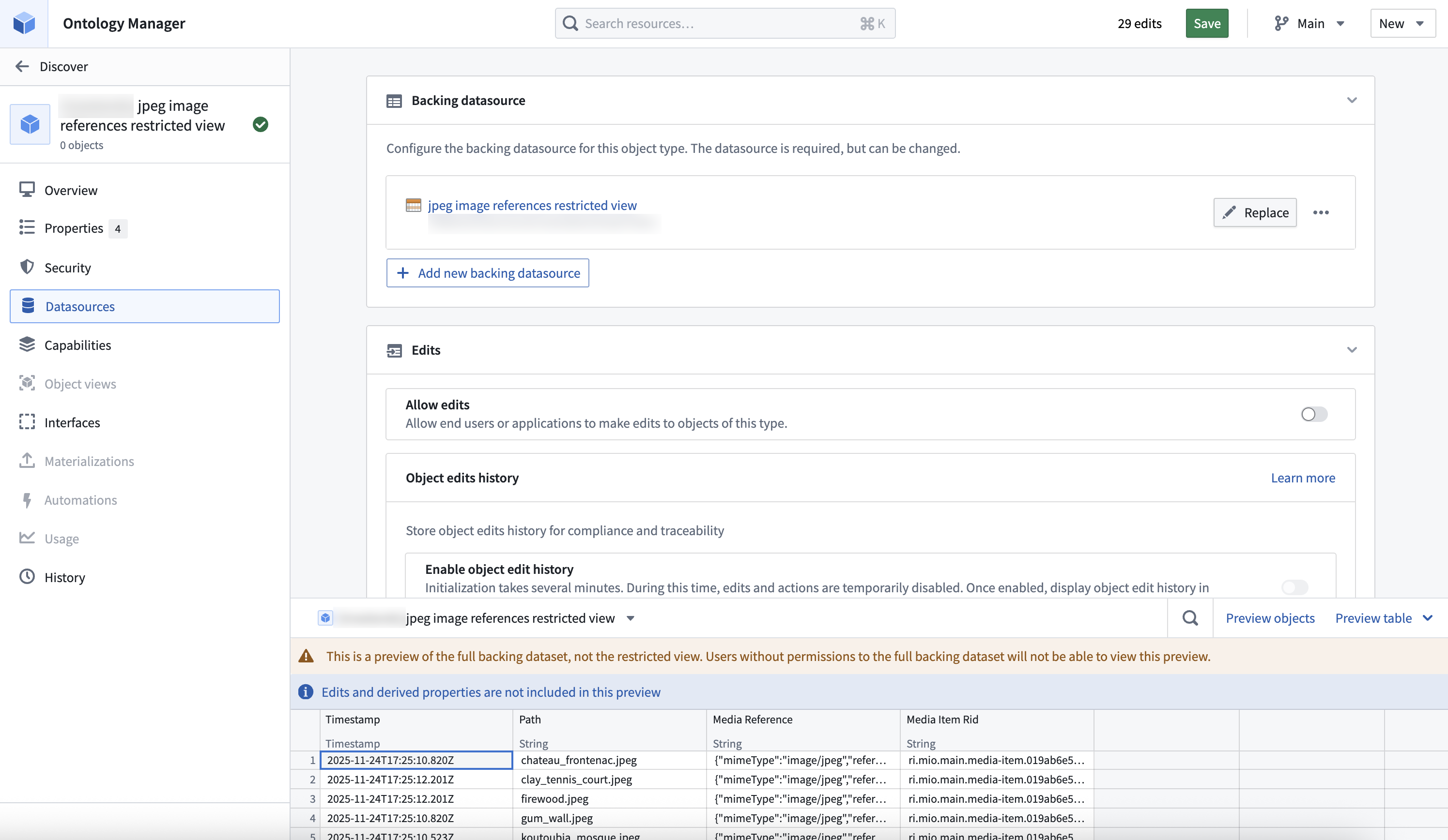 The Ontology Manager showing object type configuration backed by the restricted view.