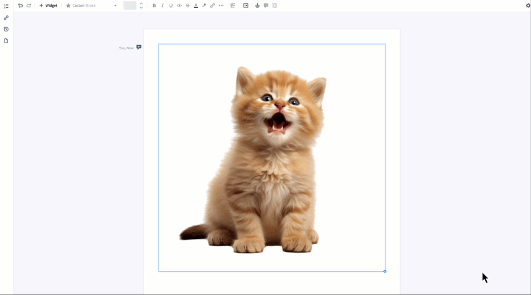 Resize media reference image.