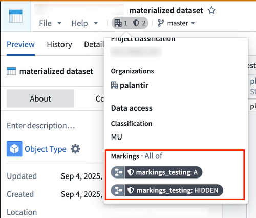 An example of a materialized dataset carrying provenance from the backing dataset.