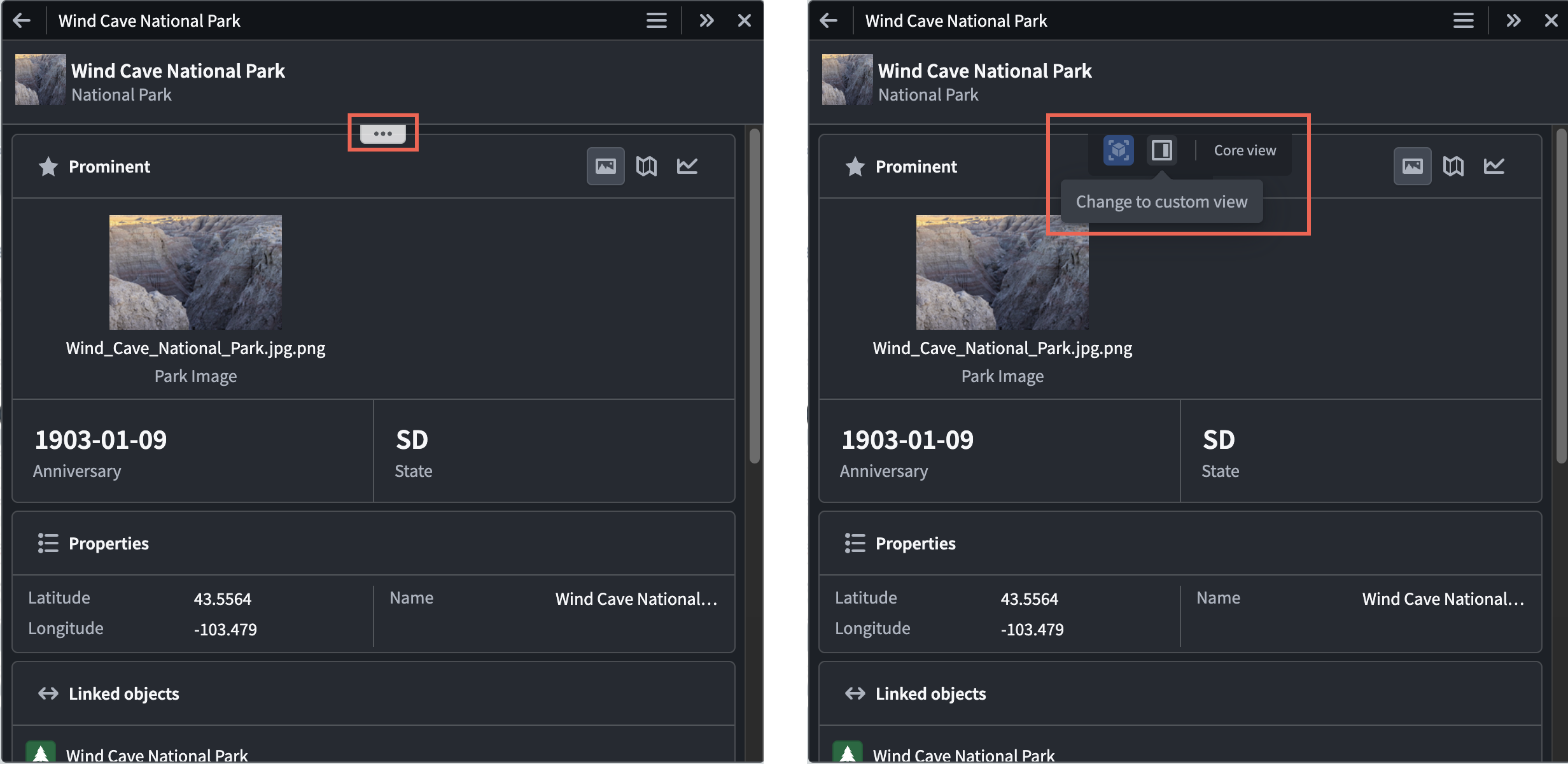 The Core and Custom object view toggle in an application is displayed.