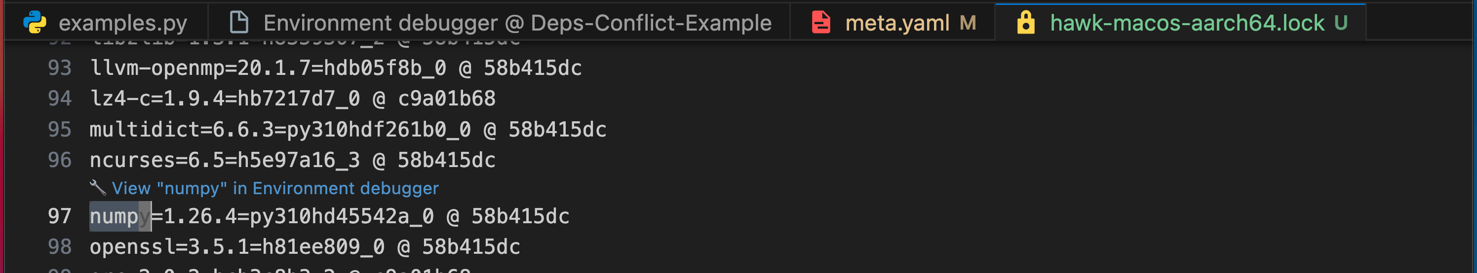 The "View in environment debugger" CodeLens hint above a package in the hawk lockfile.