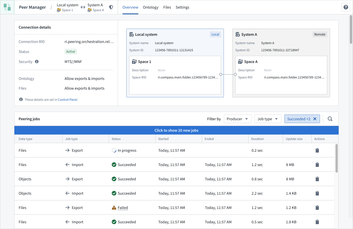 Peer Manager displays a connection overview, which shows a table of peer jobs.