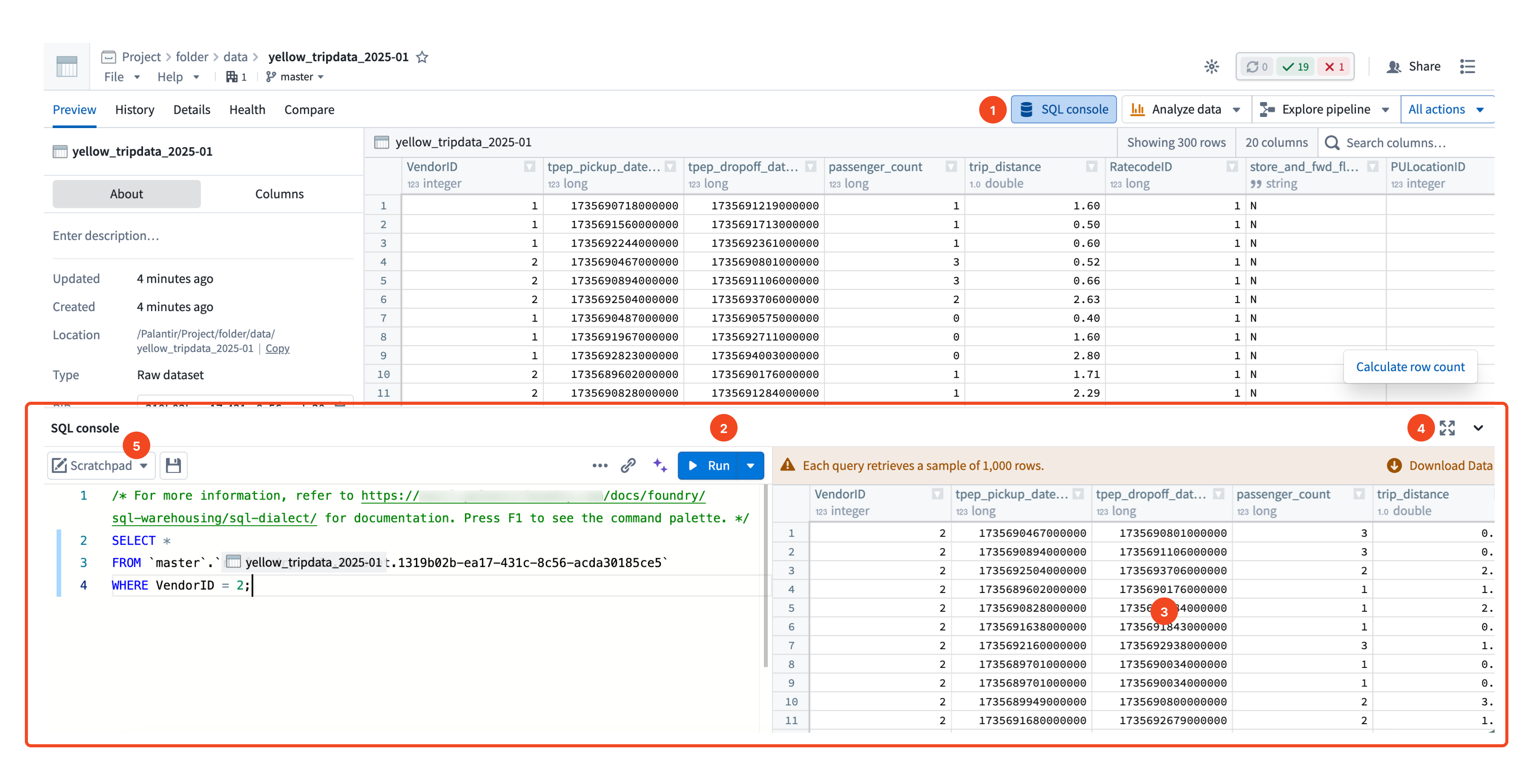 SQL console open in Dataset Preview, with the run button, results panel, full-screen expand button, and worksheet selector visible.